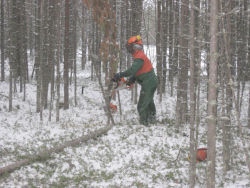 R�jning i gamla Salla